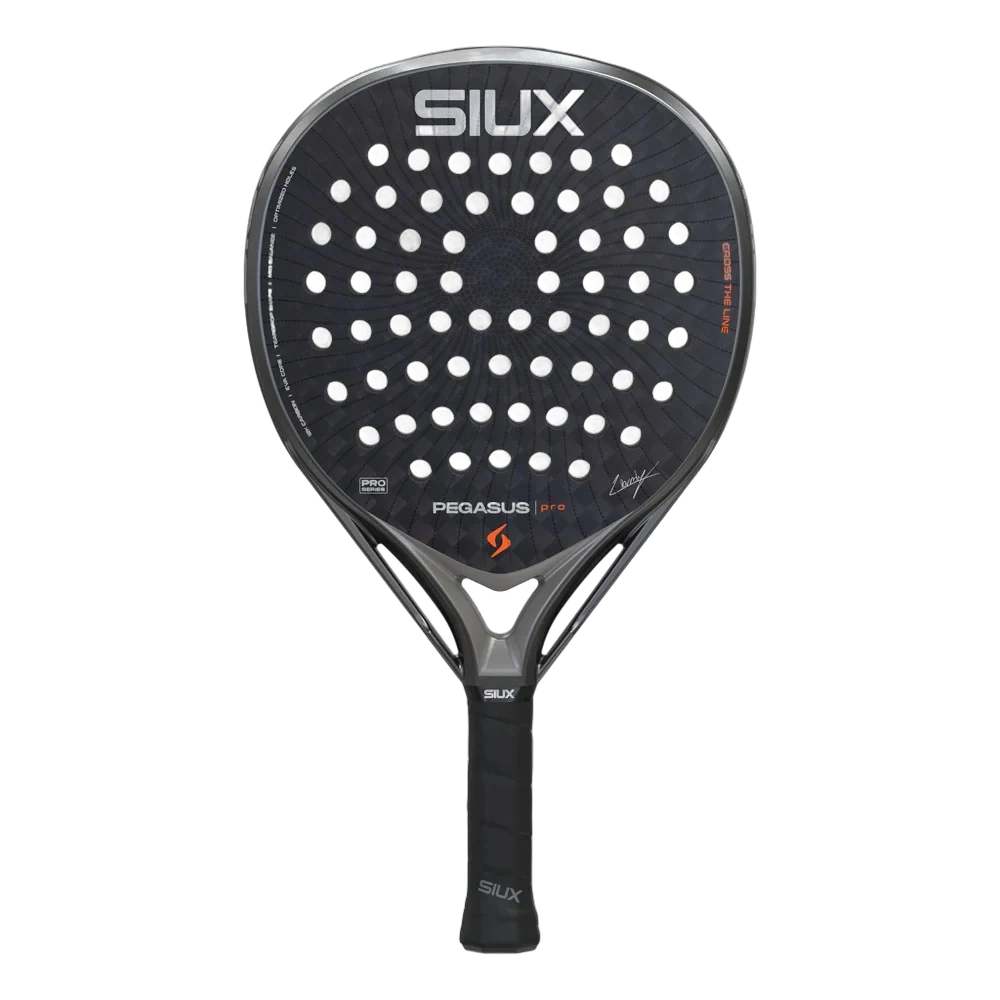 (2026) Siux Pegasus Pro Storm Grey